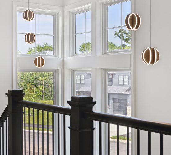 1981 Della Dr, Chanhassen 026