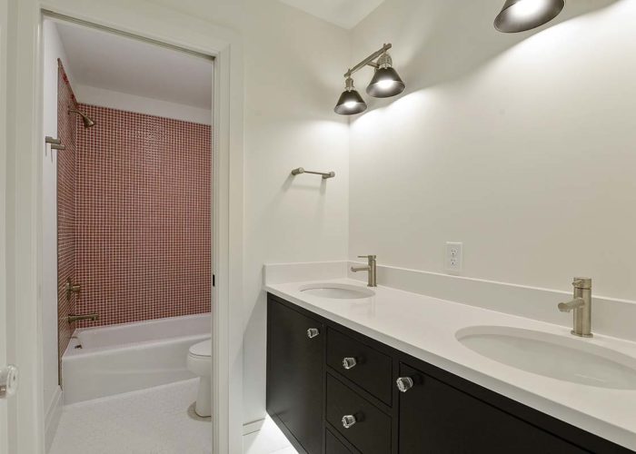 Edina Mid Mod Bathroom