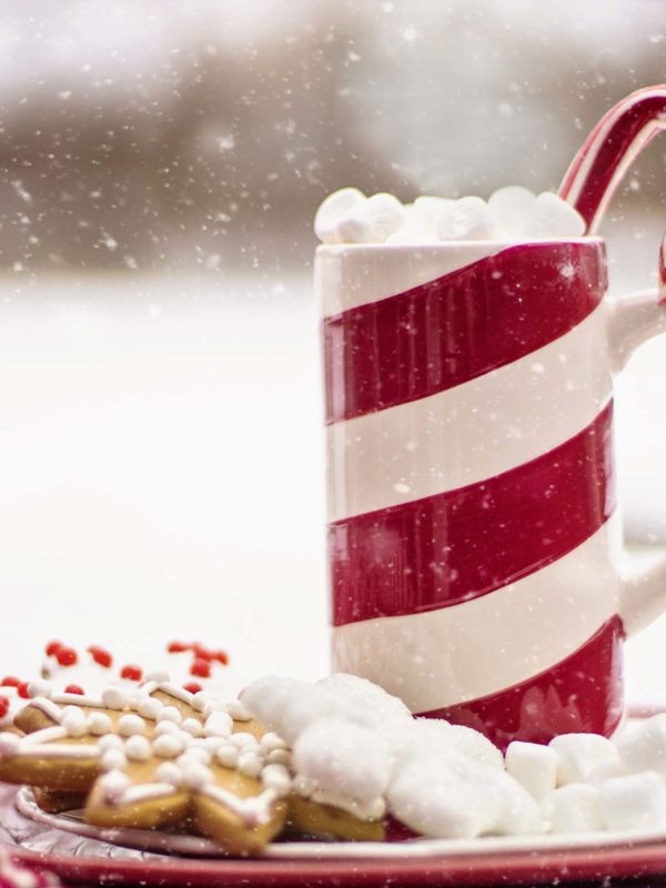 Holiday Open House Web Cover