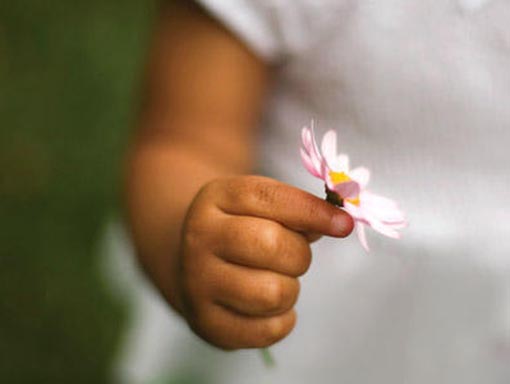 Close up of child holding flower